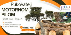 Rukovatelj motornim pilama u šumarstvu